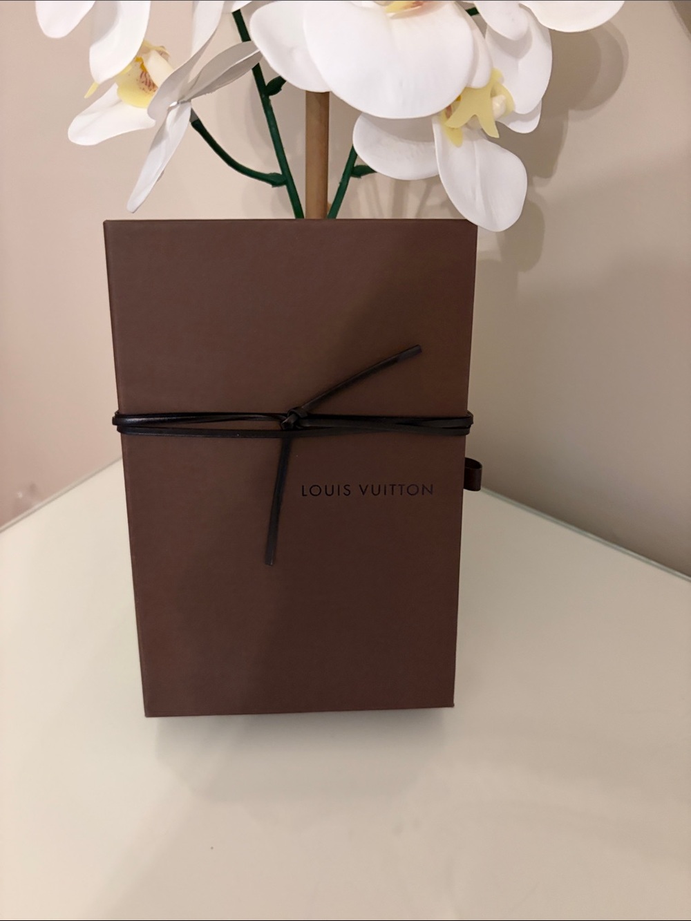 Louis Vuitton Brown Box with Dark Brown leather tie
